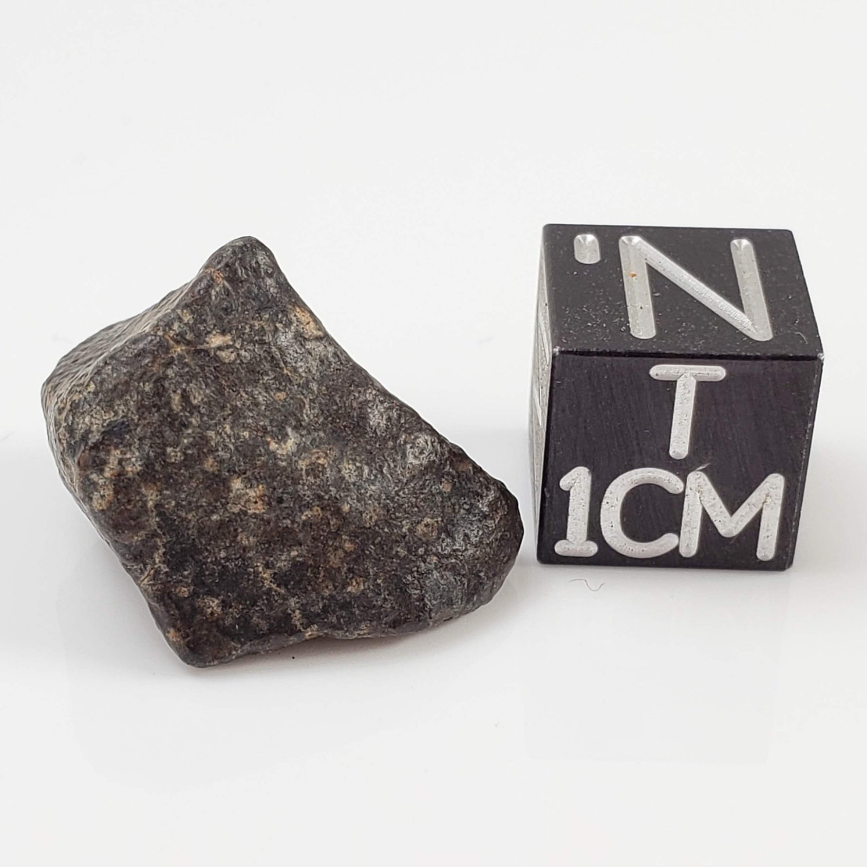  NWA 869 Meteorite | 3.81 Gr | Individual | L3-6 Chondrite | Crusted Specimen 
