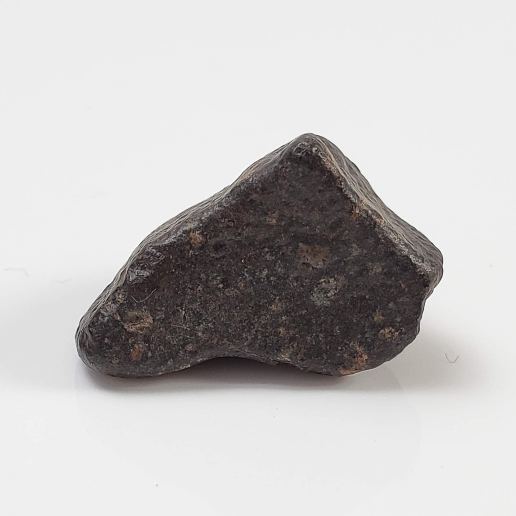  NWA 869 Meteorite | 3.81 Gr | Individual | L3-6 Chondrite | Crusted Specimen 1
