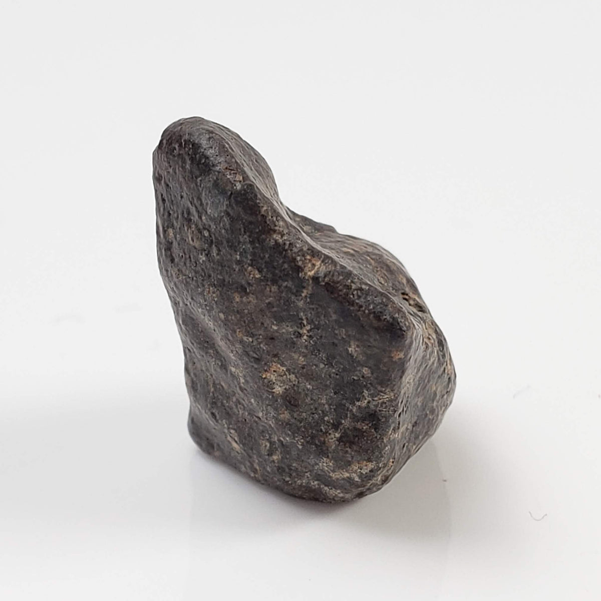  NWA 869 Meteorite | 3.81 Gr | Individual | L3-6 Chondrite | Crusted Specimen 2
