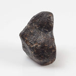  NWA 869 Meteorite | 3.81 Gr | Individual | L3-6 Chondrite | Crusted Specimen 3