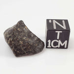  NWA 869 Meteorite | 3.81 Gr | Individual | L3-6 Chondrite | Crusted Specimen 