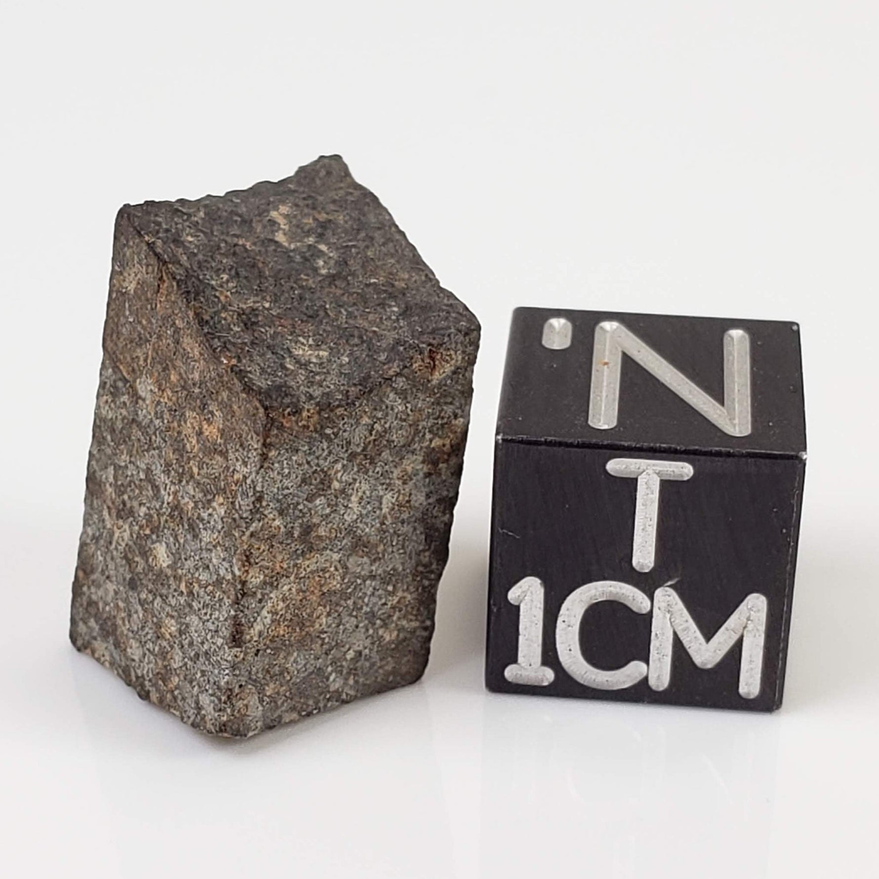  NWA 869 Meteorite | 3.87 Gr | Part Slice | L3-6 Chondrite | Bostick Specimen 