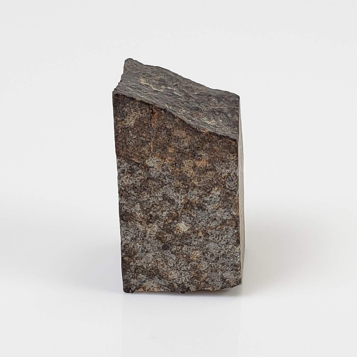  NWA 869 Meteorite | 3.87 Gr | Part Slice | L3-6 Chondrite | Bostick Specimen 1