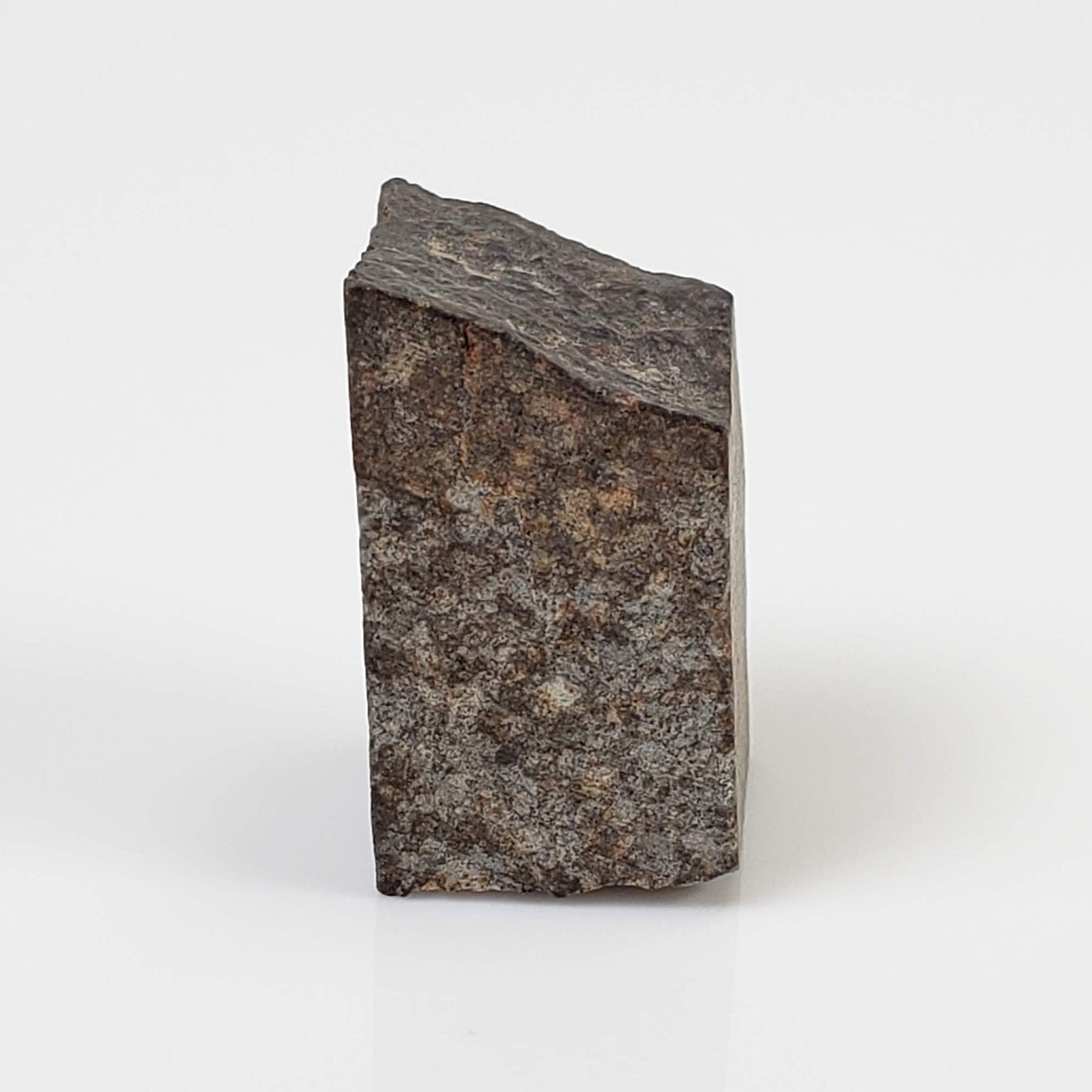  NWA 869 Meteorite | 3.87 Gr | Part Slice | L3-6 Chondrite | Bostick Specimen 1