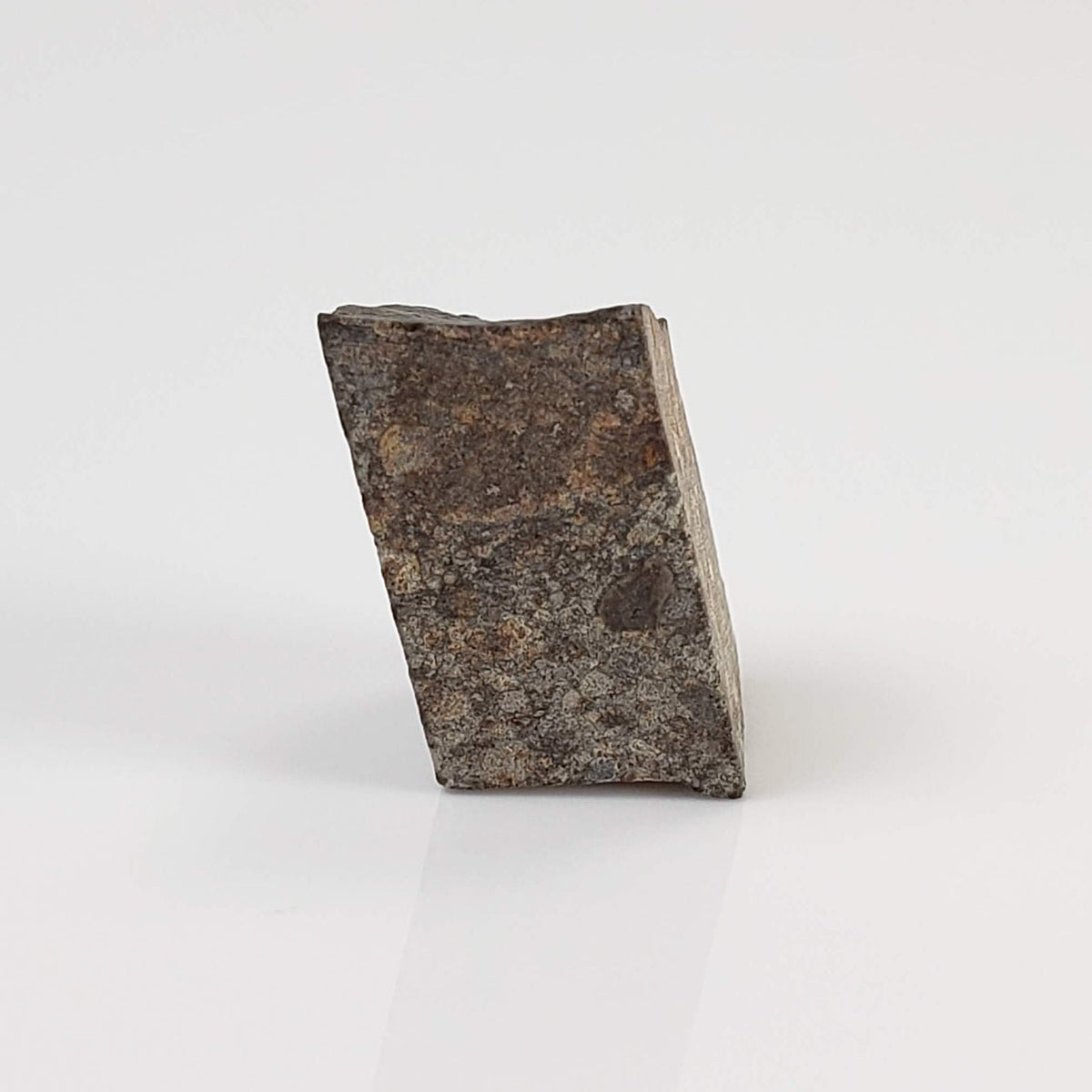  NWA 869 Meteorite | 3.87 Gr | Part Slice | L3-6 Chondrite | Bostick Specimen 2