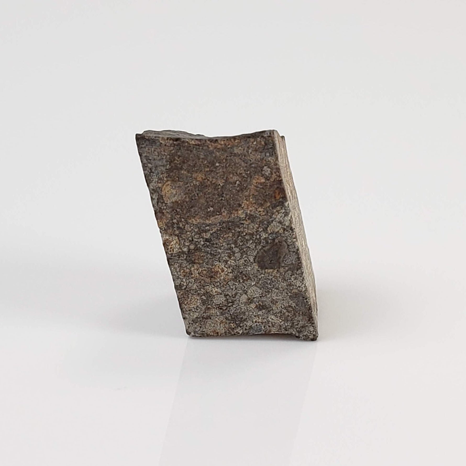  NWA 869 Meteorite | 3.87 Gr | Part Slice | L3-6 Chondrite | Bostick Specimen 2