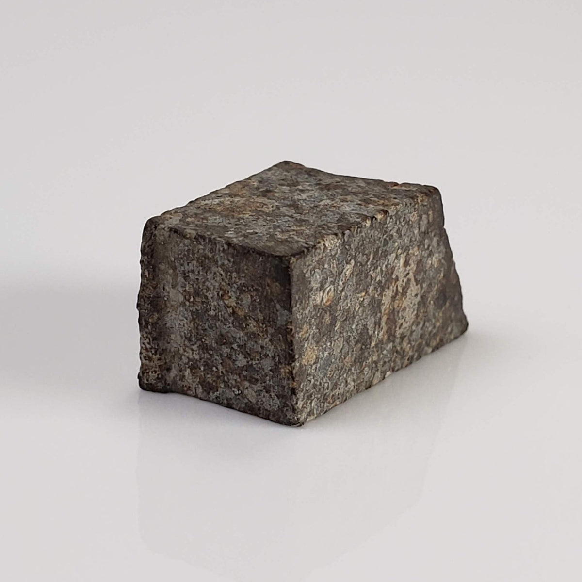  NWA 869 Meteorite | 3.87 Gr | Part Slice | L3-6 Chondrite | Bostick Specimen 4