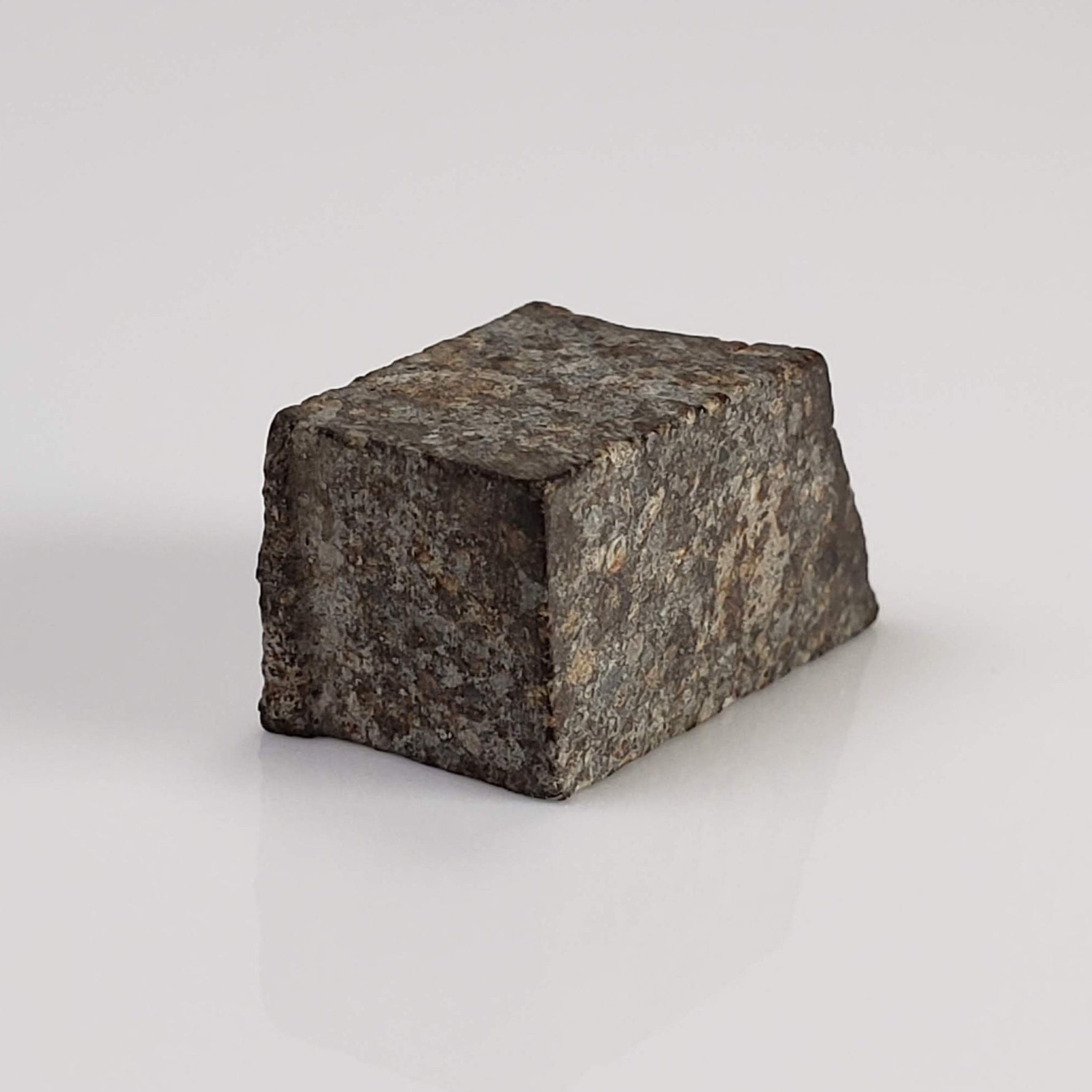  NWA 869 Meteorite | 3.87 Gr | Part Slice | L3-6 Chondrite | Bostick Specimen 4