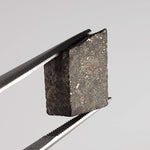  NWA 869 Meteorite | 3.87 Gr | Part Slice | L3-6 Chondrite | Bostick Specimen 5