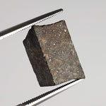  NWA 869 Meteorite | 3.87 Gr | Part Slice | L3-6 Chondrite | Bostick Specimen 6