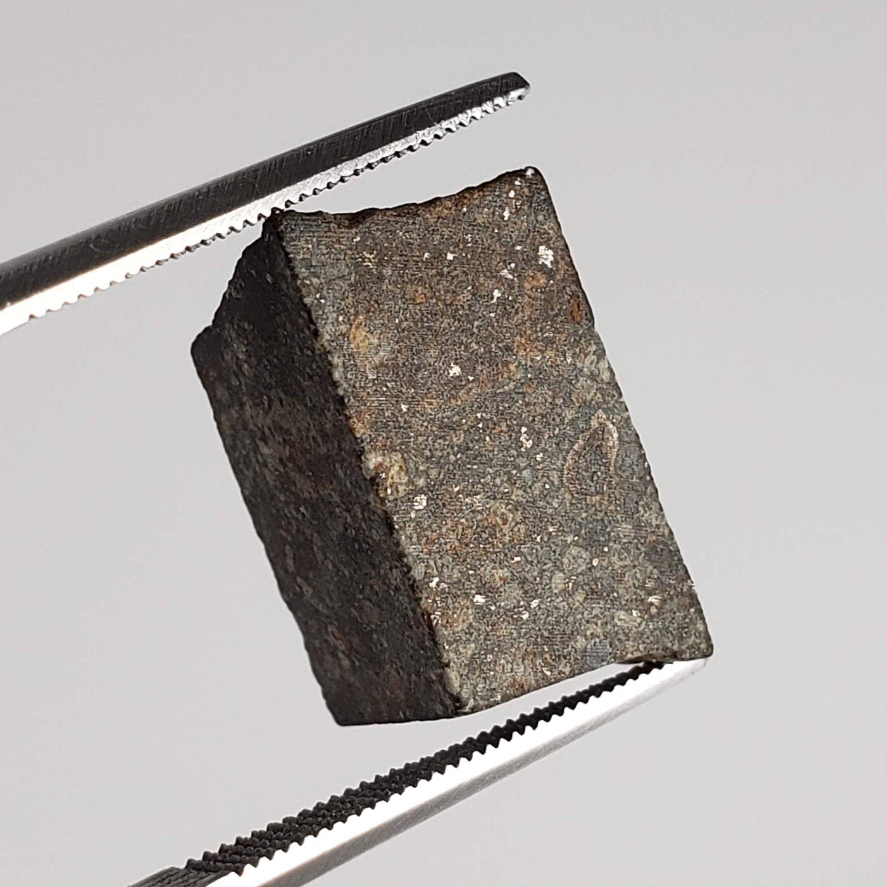  NWA 869 Meteorite | 3.87 Gr | Part Slice | L3-6 Chondrite | Bostick Specimen 6