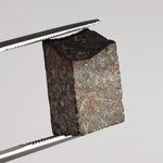  NWA 869 Meteorite | 3.87 Gr | Part Slice | L3-6 Chondrite | Bostick Specimen 8