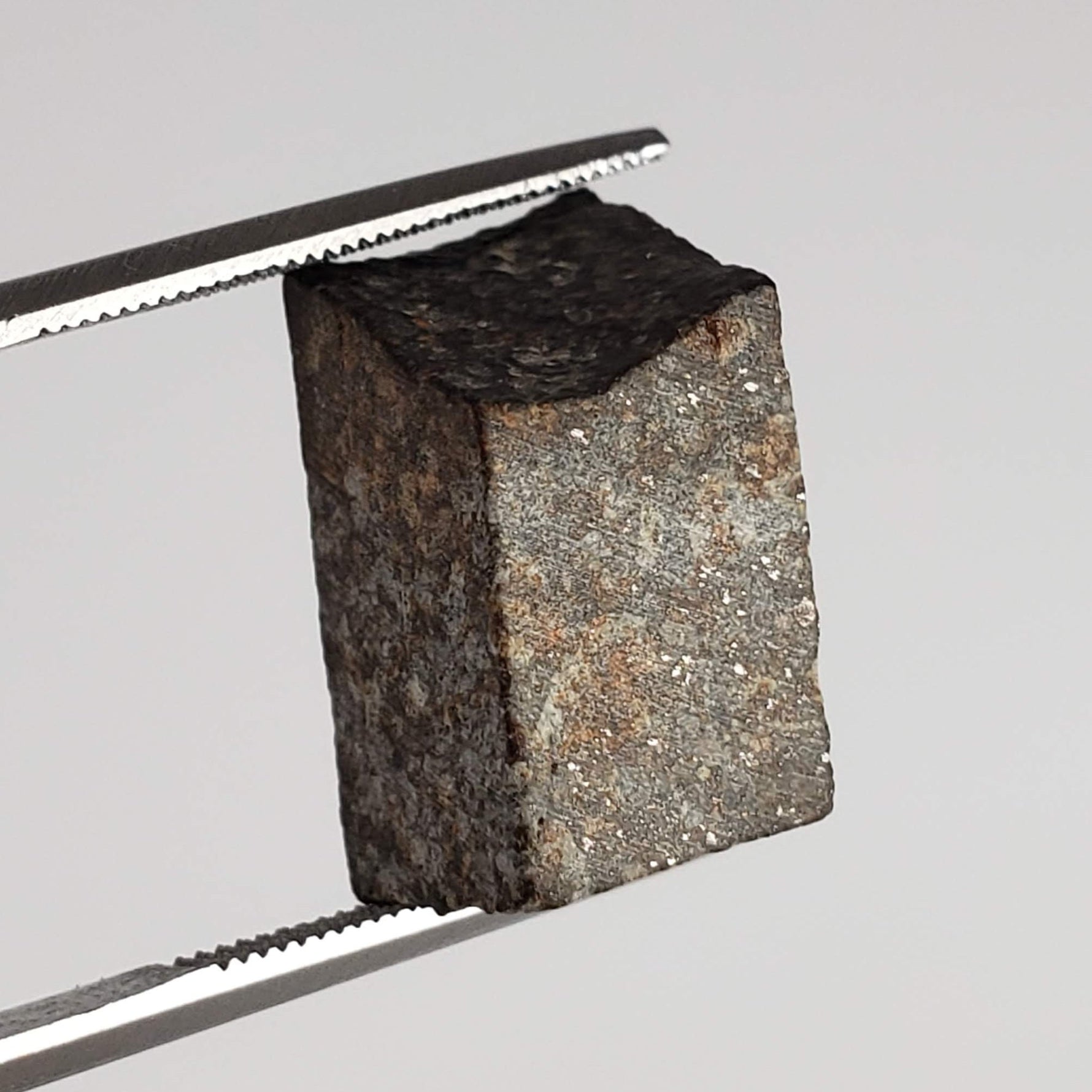  NWA 869 Meteorite | 3.87 Gr | Part Slice | L3-6 Chondrite | Bostick Specimen 8