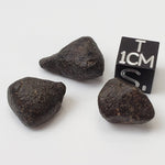  NWA 869 Meteorite | 3 Piece Lot | 8.1 Gr | Individual | L3-6 Chondrite | Crusted Specimen | SO24 