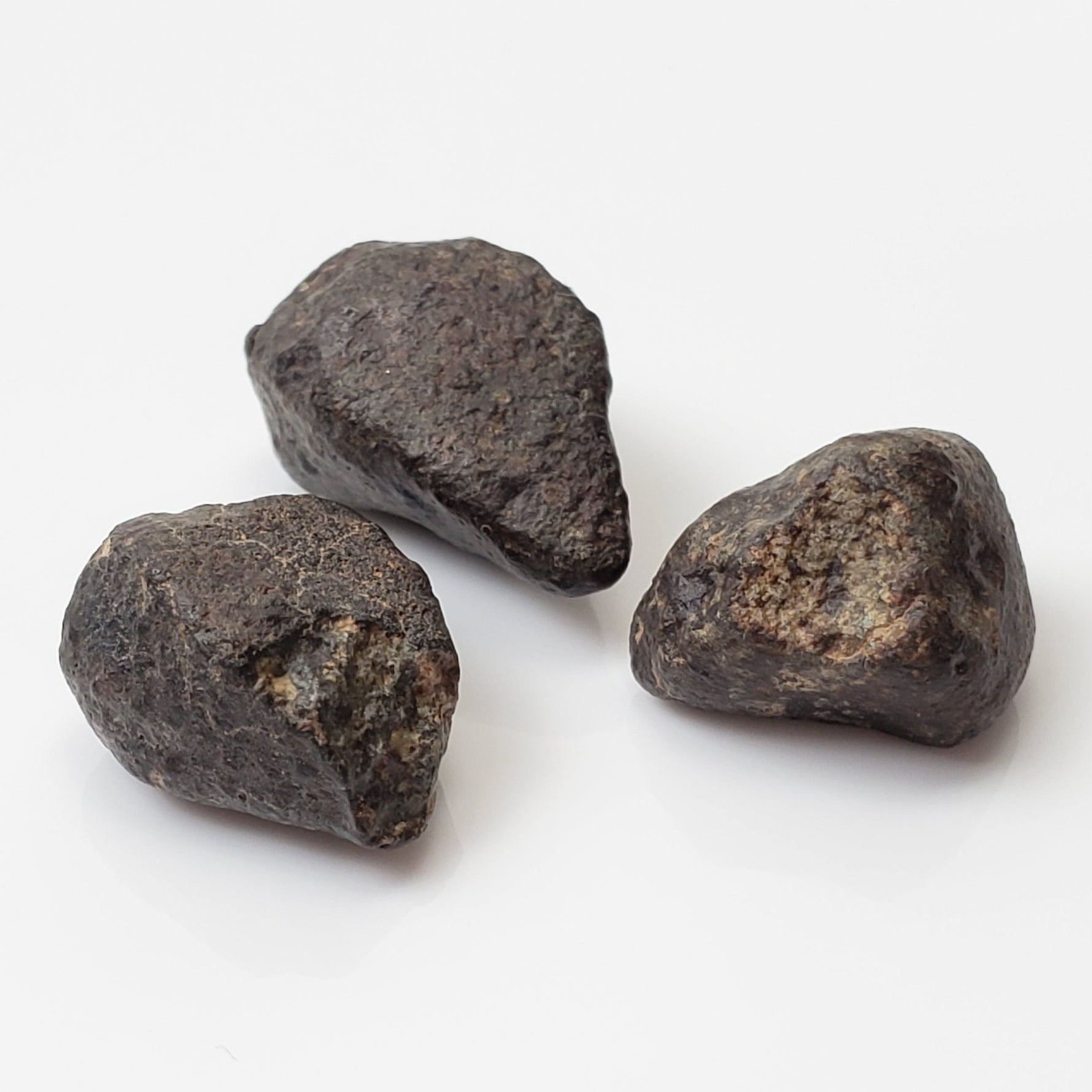  NWA 869 Meteorite | 3 Piece Lot | 8.1 Gr | Individual | L3-6 Chondrite | Crusted Specimen | SO24 1