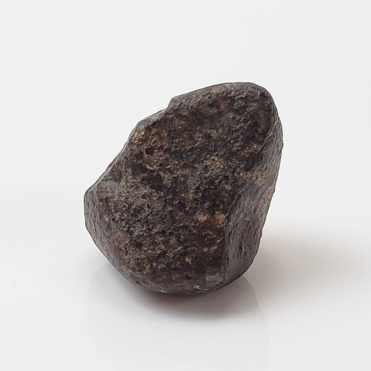  NWA 869 Meteorite | 3 Piece Lot | 8.1 Gr | Individual | L3-6 Chondrite | Crusted Specimen | SO24 2