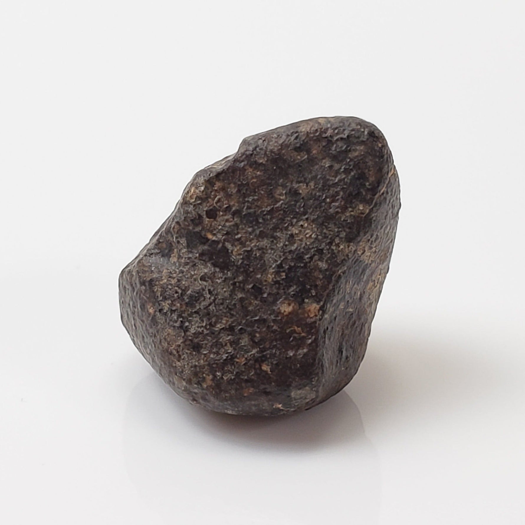  NWA 869 Meteorite | 3 Piece Lot | 8.1 Gr | Individual | L3-6 Chondrite | Crusted Specimen | SO24 2