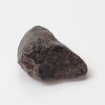  NWA 869 Meteorite | 3 Piece Lot | 8.1 Gr | Individual | L3-6 Chondrite | Crusted Specimen | SO24 4