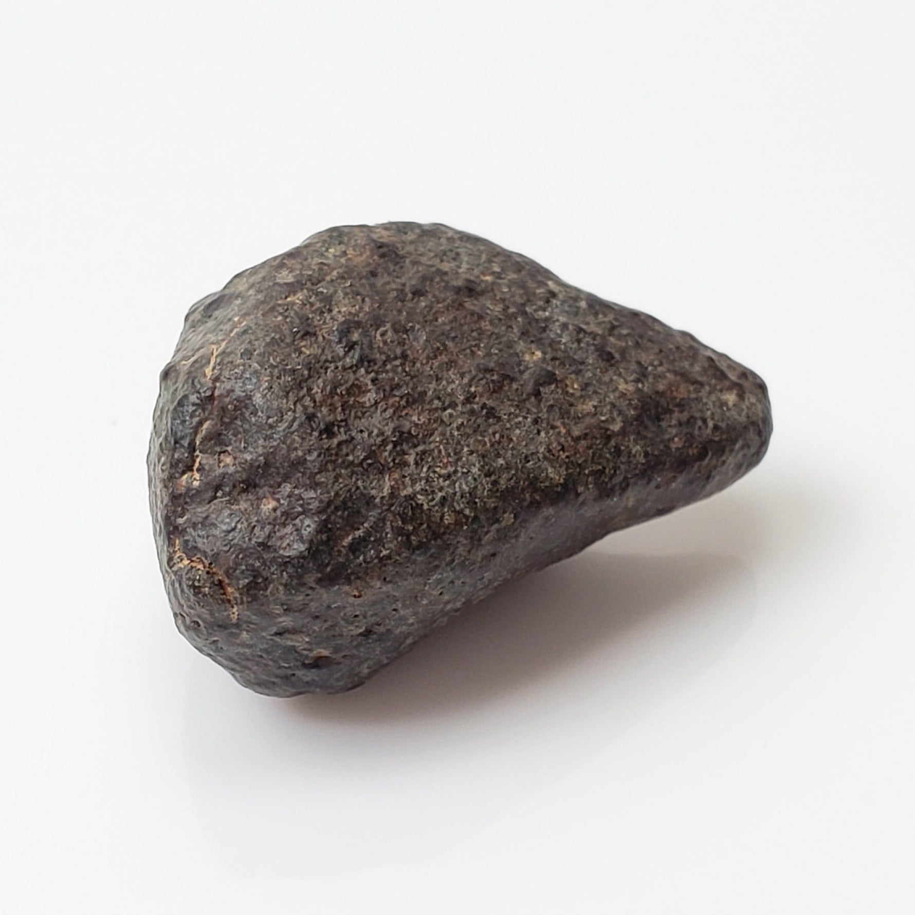  NWA 869 Meteorite | 3 Piece Lot | 8.1 Gr | Individual | L3-6 Chondrite | Crusted Specimen | SO24 5