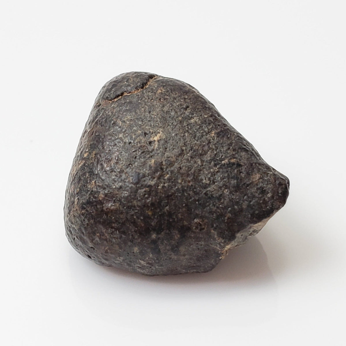  NWA 869 Meteorite | 3 Piece Lot | 8.1 Gr | Individual | L3-6 Chondrite | Crusted Specimen | SO24 6