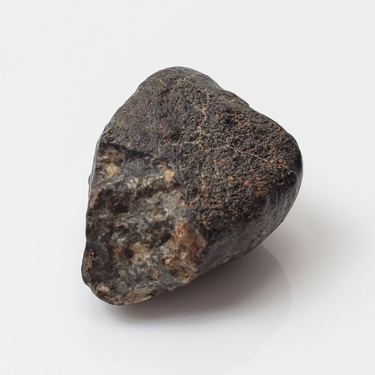  NWA 869 Meteorite | 3 Piece Lot | 8.1 Gr | Individual | L3-6 Chondrite | Crusted Specimen | SO24 7