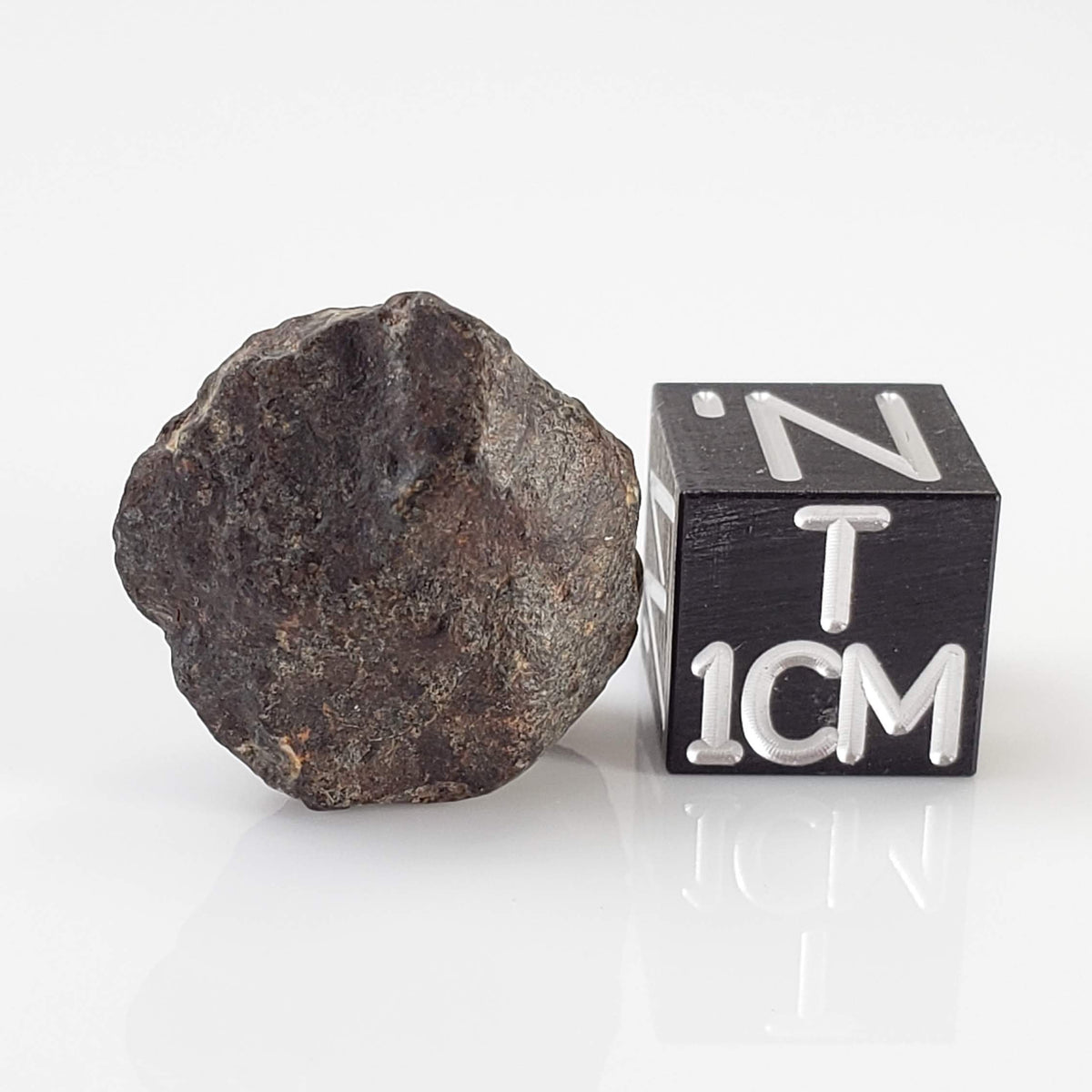  NWA 869 Meteorite | 4.3 Gr | Individual | L3-6 Chondrite | Crusted Specimen 