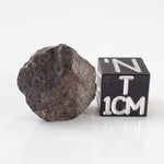  NWA 869 Meteorite | 4.3 Gr | Individual | L3-6 Chondrite | Crusted Specimen 