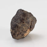  NWA 869 Meteorite | 4.3 Gr | Individual | L3-6 Chondrite | Crusted Specimen 1
