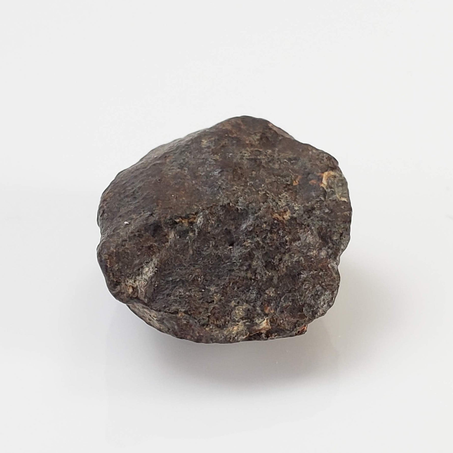  NWA 869 Meteorite | 4.3 Gr | Individual | L3-6 Chondrite | Crusted Specimen 2