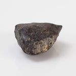  NWA 869 Meteorite | 4.3 Gr | Individual | L3-6 Chondrite | Crusted Specimen 3