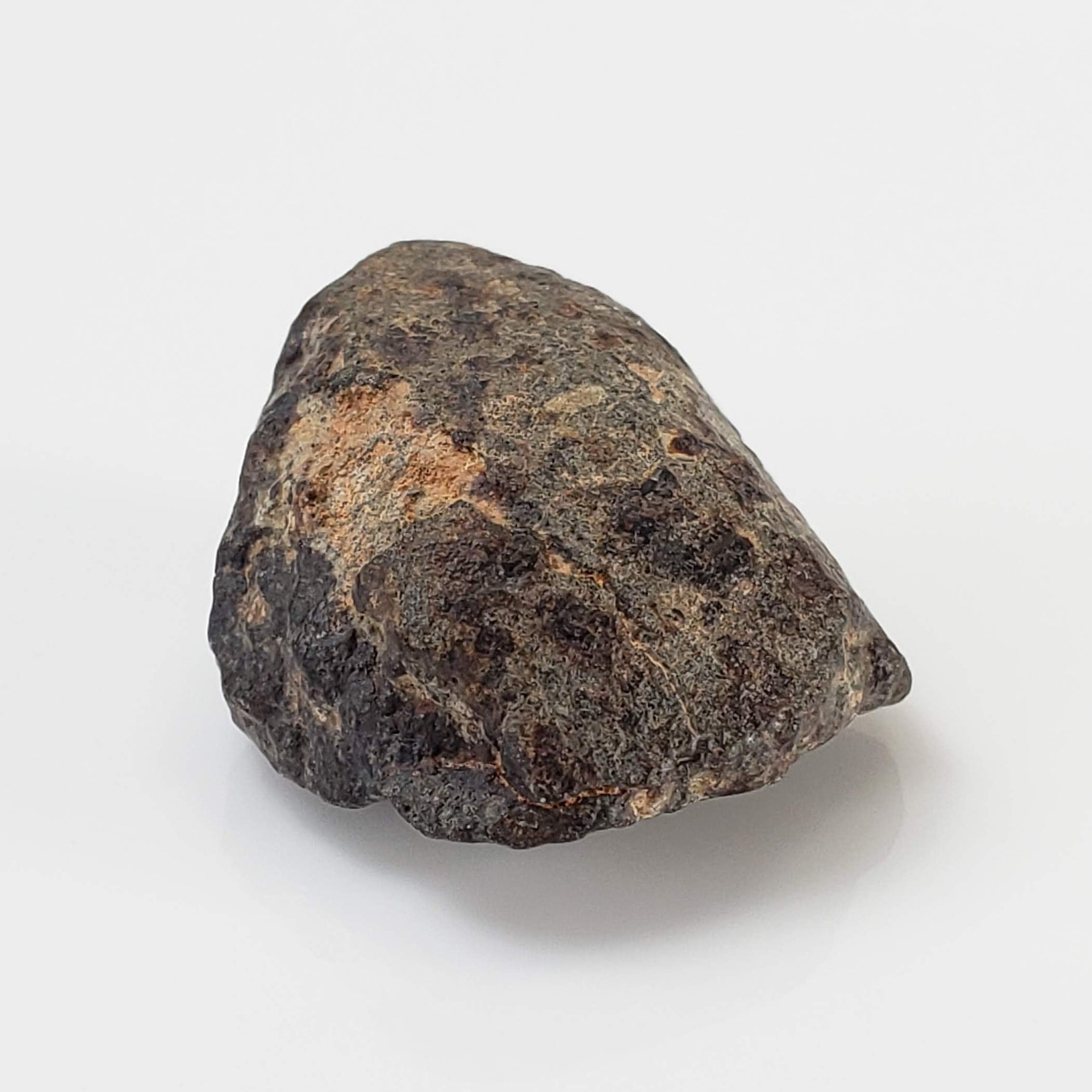  NWA 869 Meteorite | 4.3 Gr | Individual | L3-6 Chondrite | Crusted Specimen 4