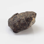  NWA 869 Meteorite | 4.3 Gr | Individual | L3-6 Chondrite | Crusted Specimen 5