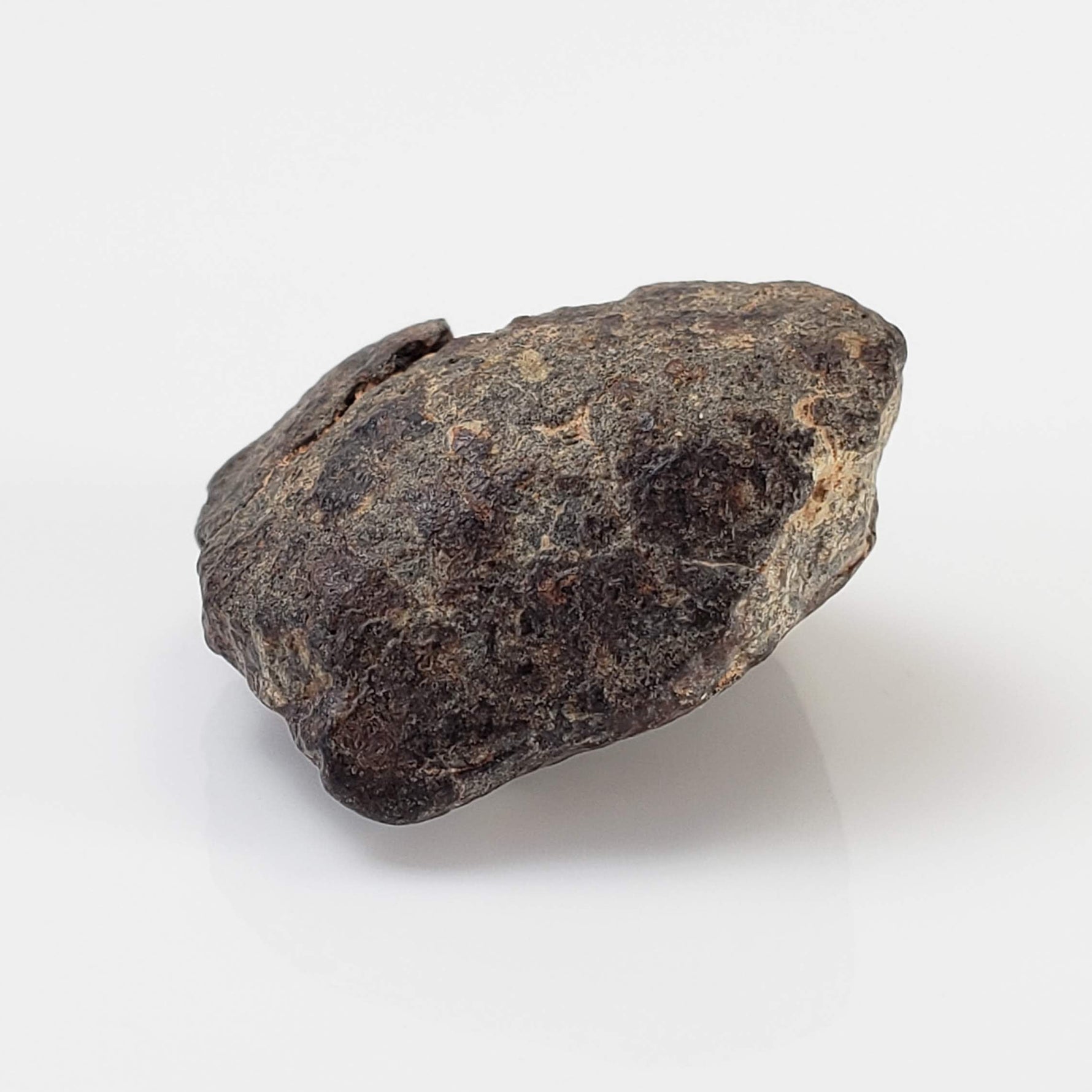  NWA 869 Meteorite | 4.3 Gr | Individual | L3-6 Chondrite | Crusted Specimen 5
