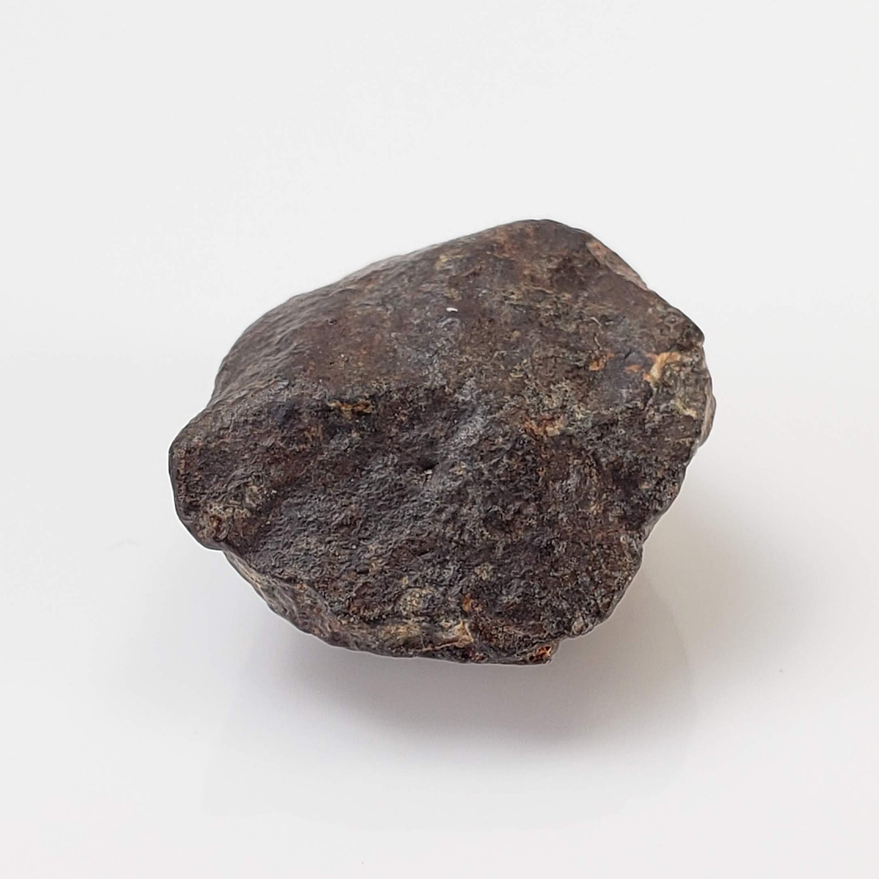  NWA 869 Meteorite | 4.3 Gr | Individual | L3-6 Chondrite | Crusted Specimen 6