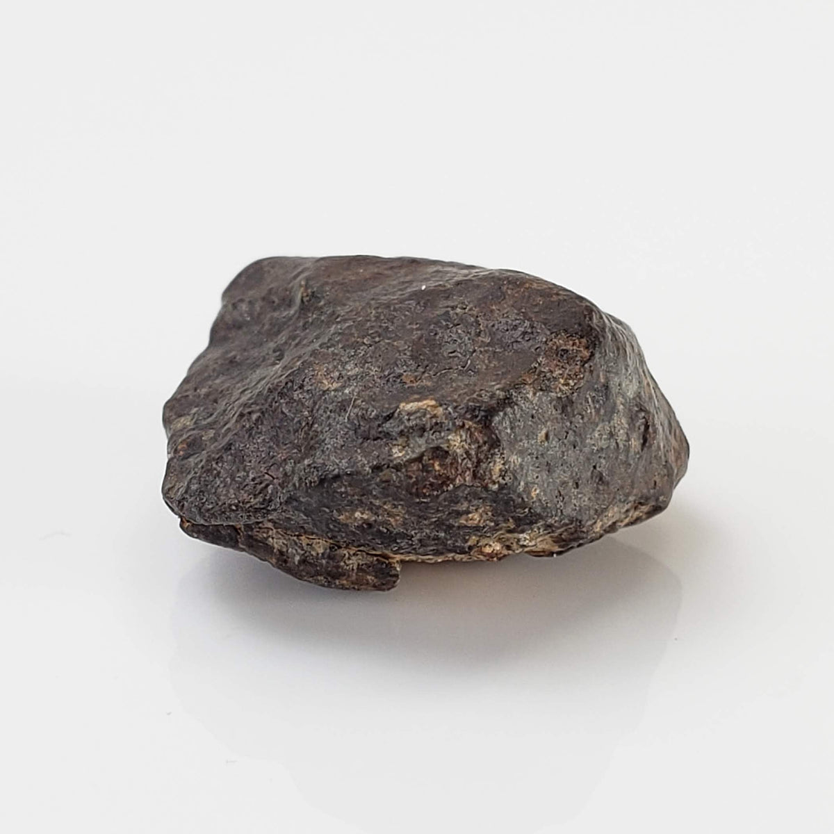  NWA 869 Meteorite | 4.3 Gr | Individual | L3-6 Chondrite | Crusted Specimen 7