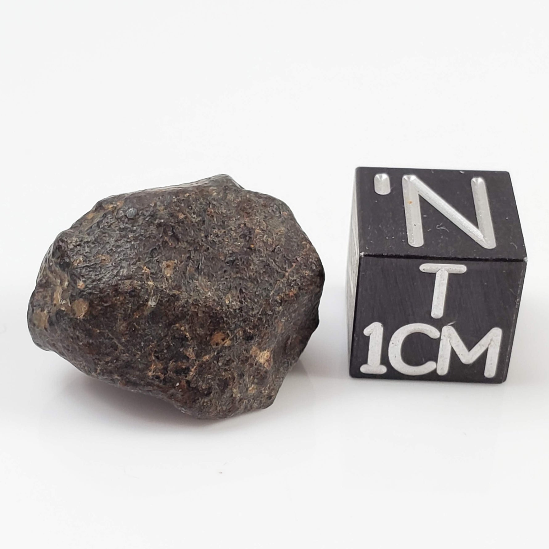 NWA 869 Meteorite | 4.32 Gr | Individual | L3-6 Chondrite | Crusted Specimen 