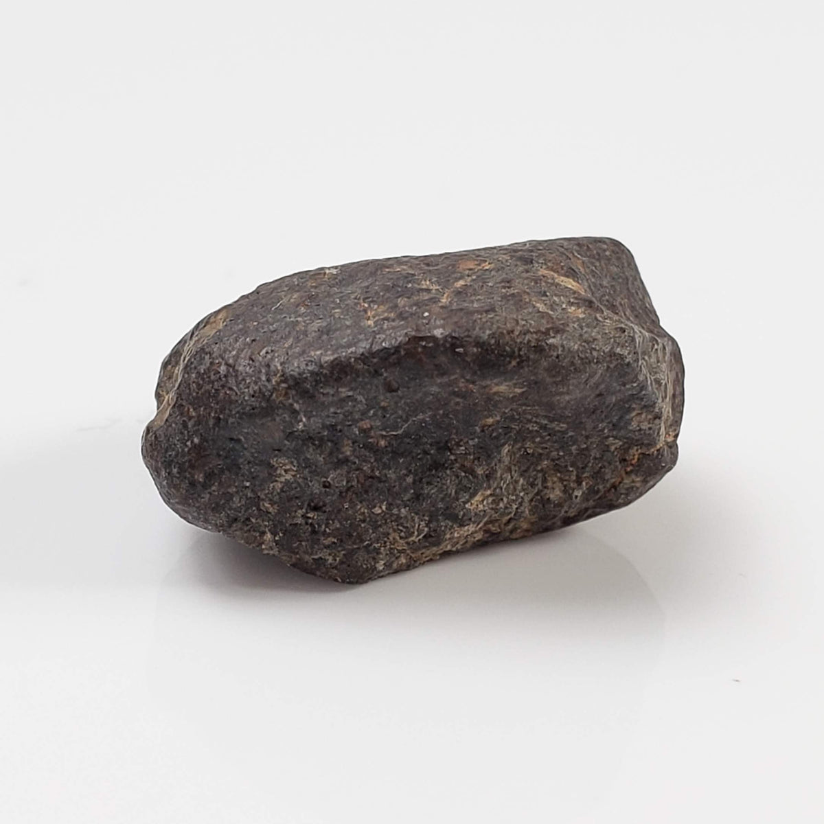  NWA 869 Meteorite | 4.32 Gr | Individual | L3-6 Chondrite | Crusted Specimen 1