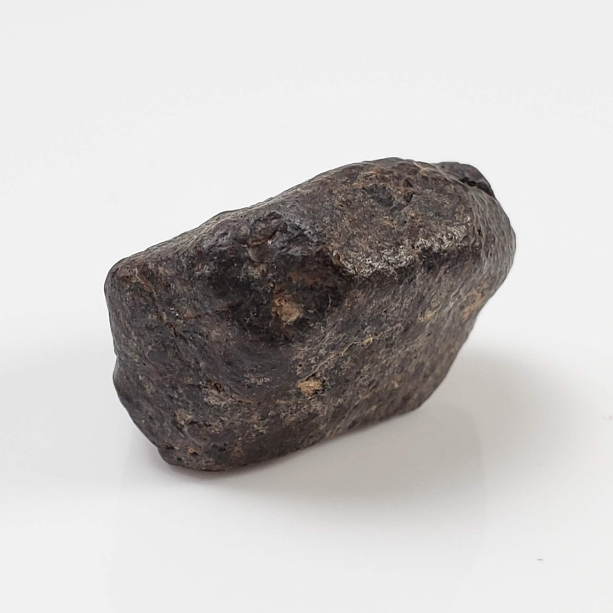  NWA 869 Meteorite | 4.32 Gr | Individual | L3-6 Chondrite | Crusted Specimen 2