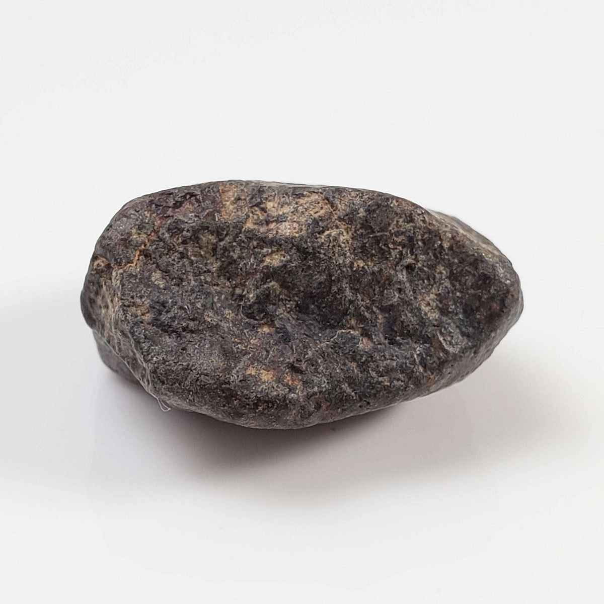  NWA 869 Meteorite | 4.32 Gr | Individual | L3-6 Chondrite | Crusted Specimen 4