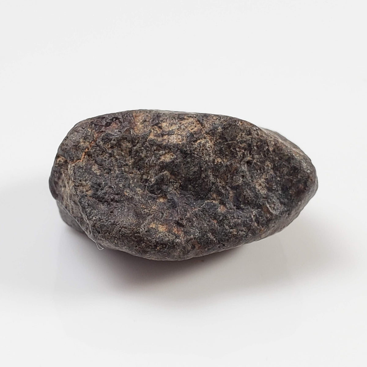  NWA 869 Meteorite | 4.32 Gr | Individual | L3-6 Chondrite | Crusted Specimen 4