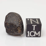 NWA 869 Meteorite | 4.34 Gr | Individual | L3-6 Chondrite | Crusted Specimen-canagem-0