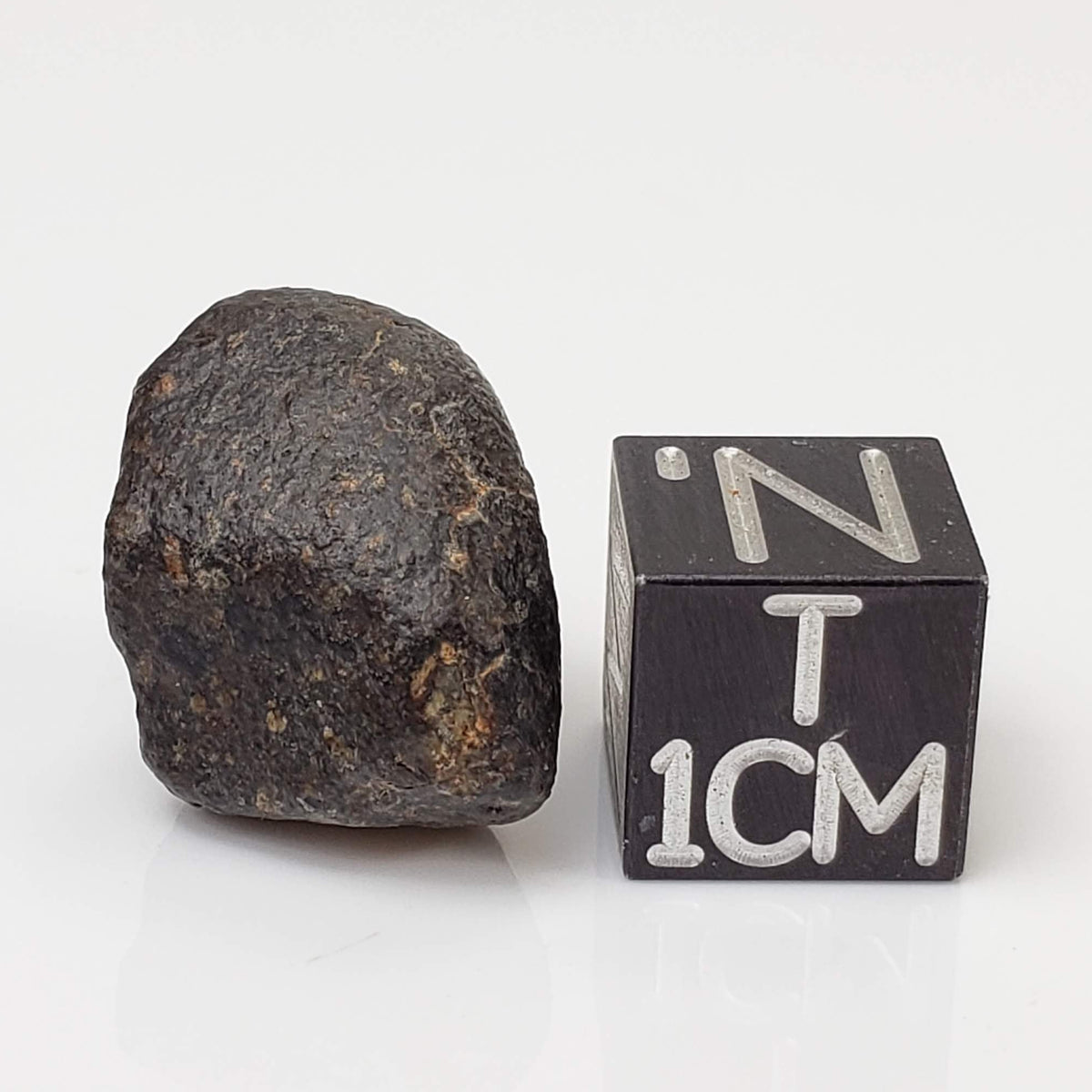 NWA 869 Meteorite | 4.34 Gr | Individual | L3-6 Chondrite | Crusted Specimen