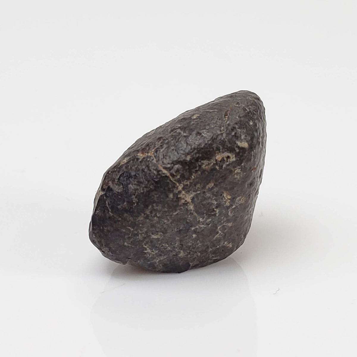 NWA 869 Meteorite | 4.34 Gr | Individual | L3-6 Chondrite | Crusted Specimen