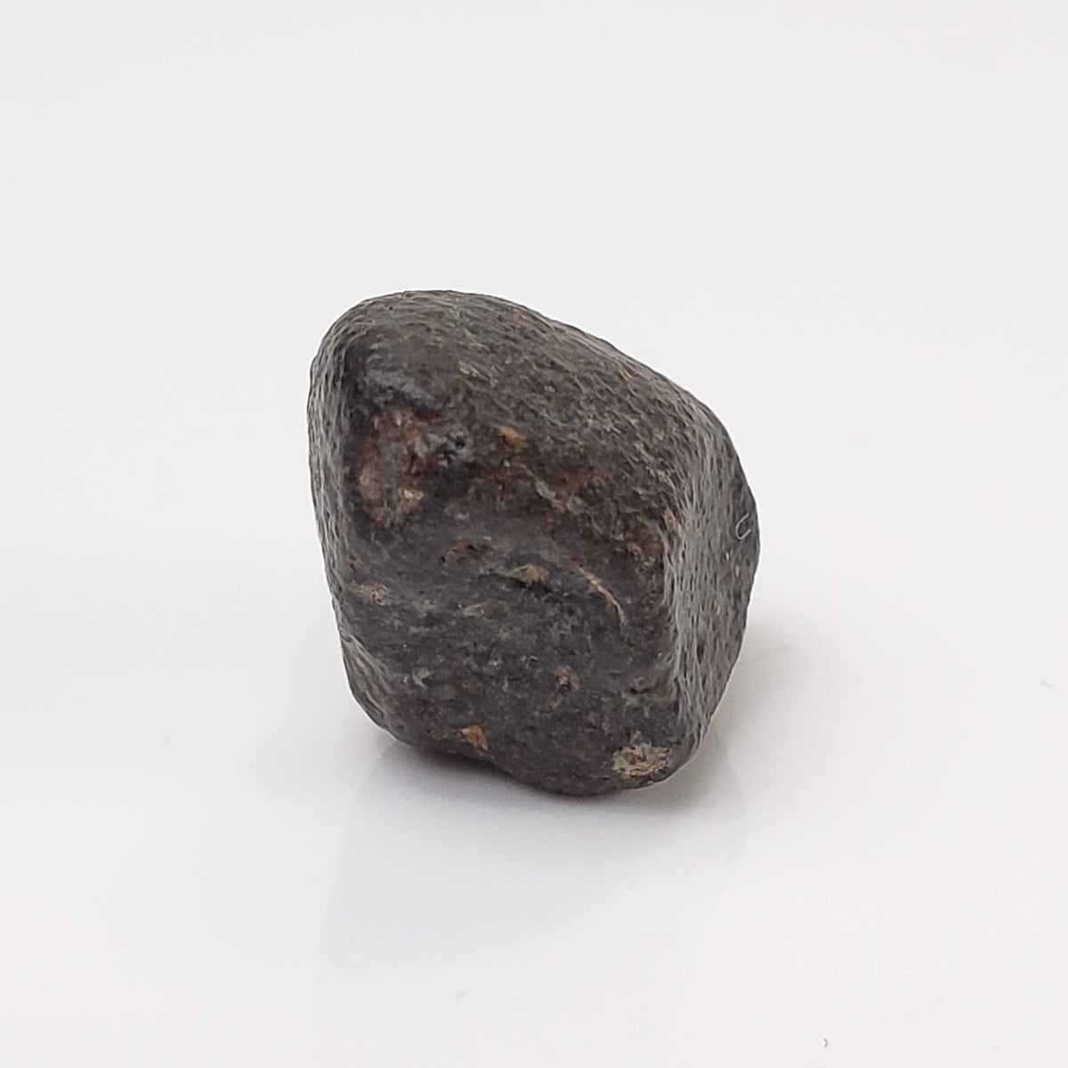 NWA 869 Meteorite | 4.34 Gr | Individual | L3-6 Chondrite | Crusted Specimen-canagem-2