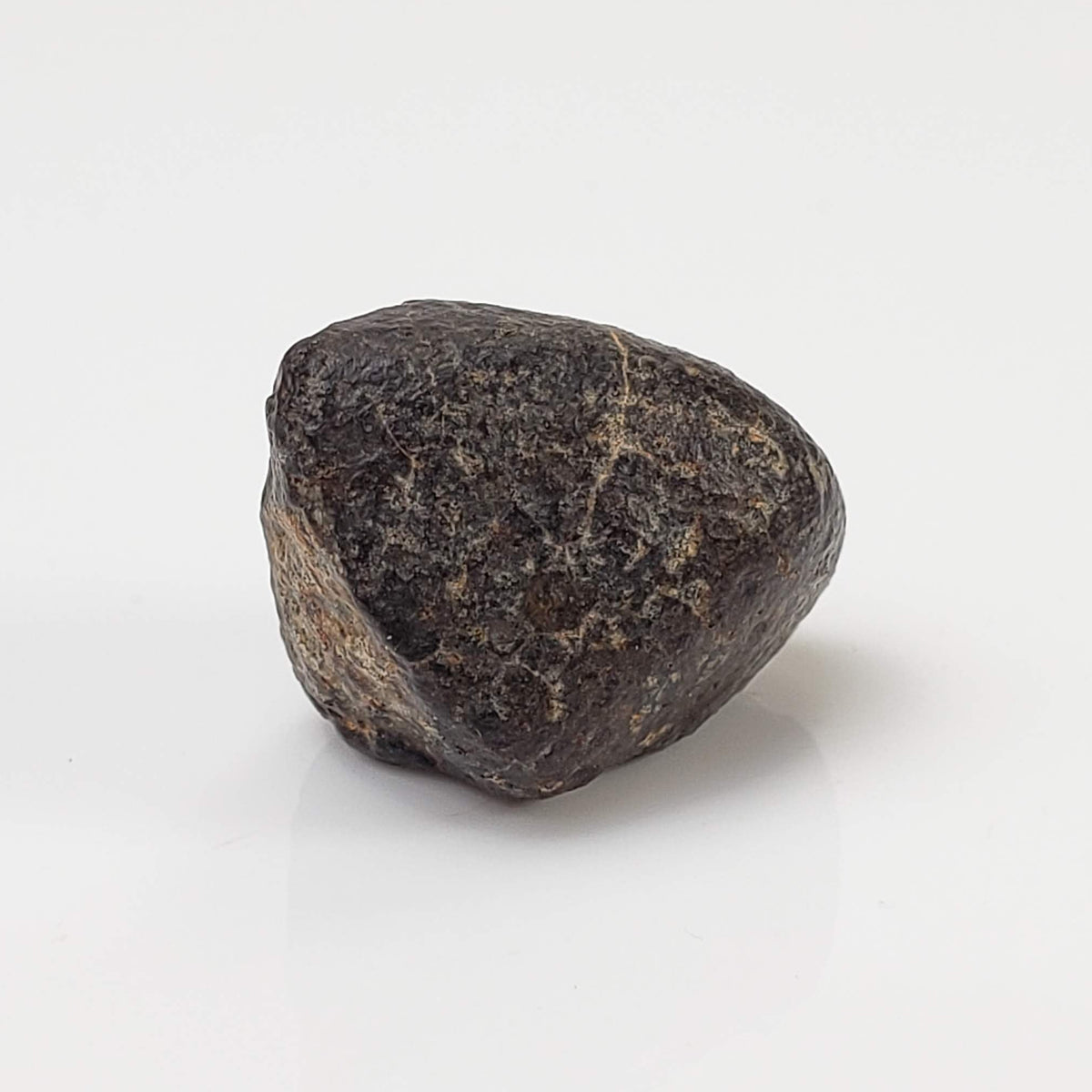 NWA 869 Meteorite | 4.34 Gr | Individual | L3-6 Chondrite | Crusted Specimen-canagem-4