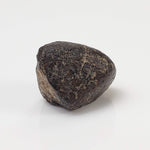 NWA 869 Meteorite | 4.34 Gr | Individual | L3-6 Chondrite | Crusted Specimen-canagem-4
