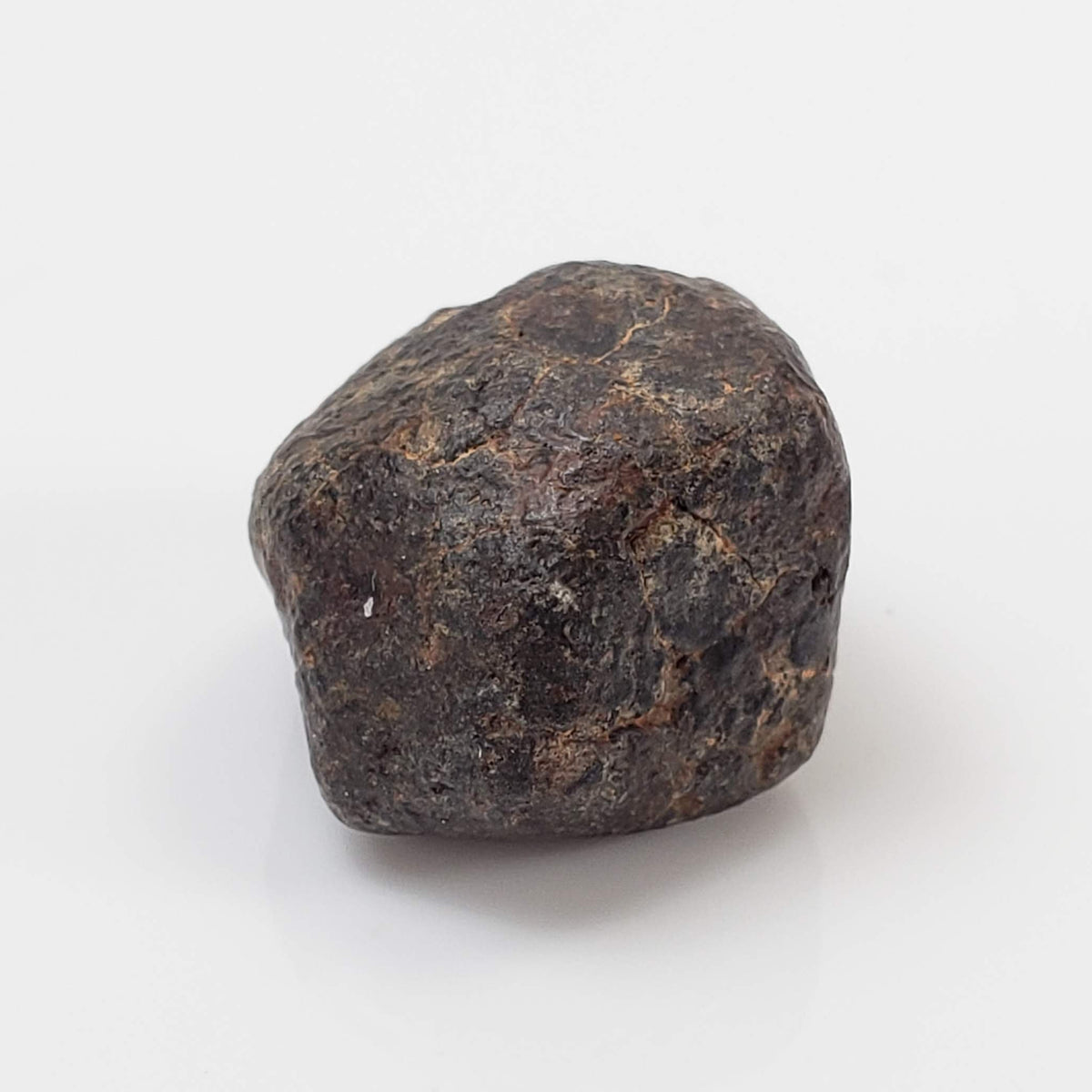  NWA 869 Meteorite | 4.48 Gr | Individual | L3-6 Chondrite | Crusted Specimen 2