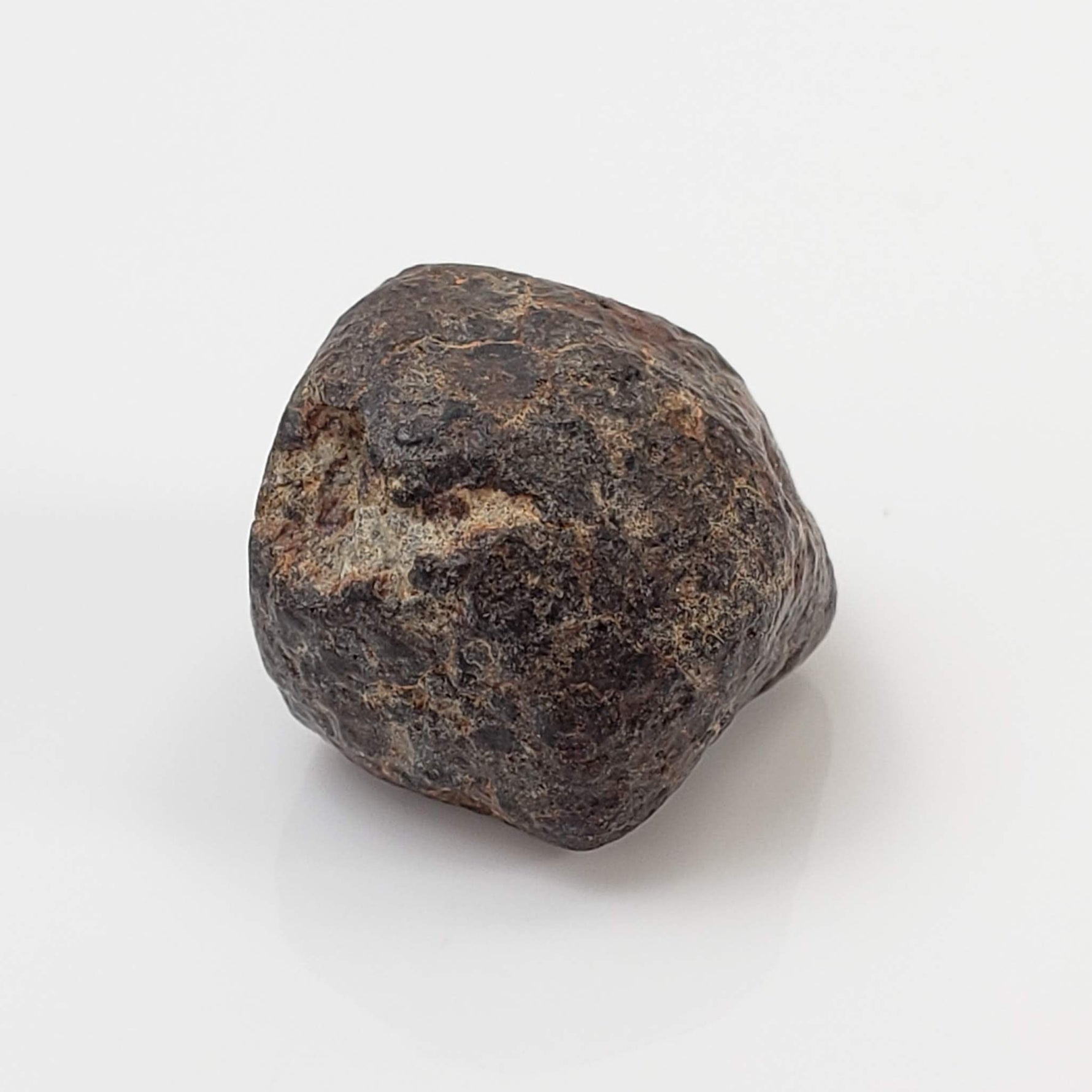  NWA 869 Meteorite | 4.48 Gr | Individual | L3-6 Chondrite | Crusted Specimen 3