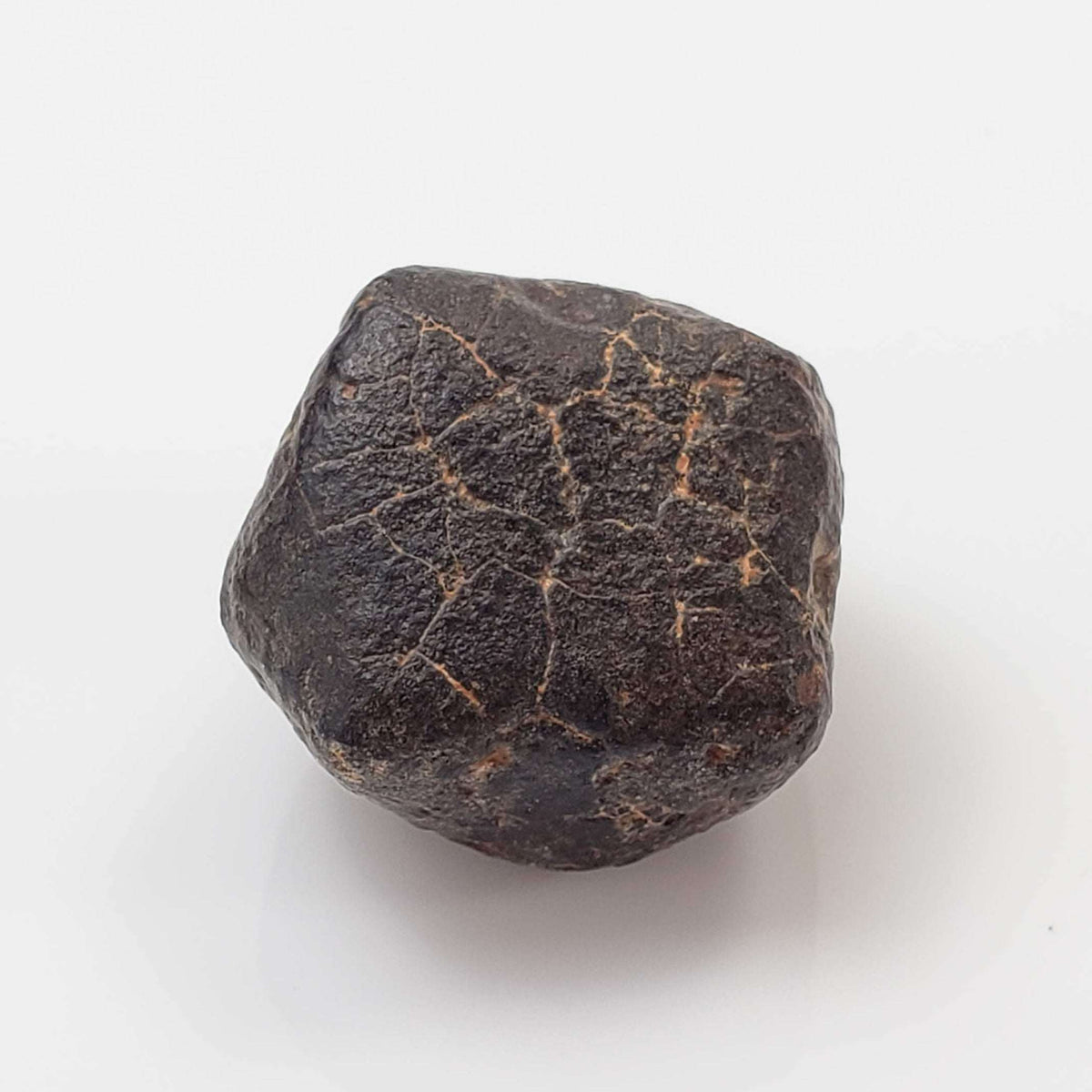  NWA 869 Meteorite | 4.48 Gr | Individual | L3-6 Chondrite | Crusted Specimen 1