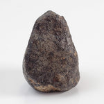 NWA 869 Meteorite | 4.5 Gr | Individual | L3-6 Chondrite | Crusted Specimen 2